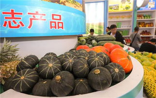 冬交会陵水展馆 68种优质特色农副产品引关注，擦亮热带农业名片